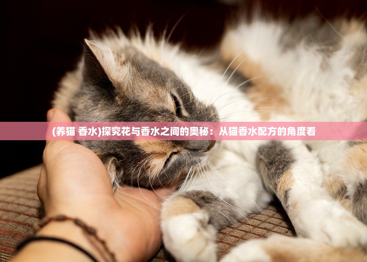 (养猫 香水)探究花与香水之间的奥秘：从猫香水配方的角度看