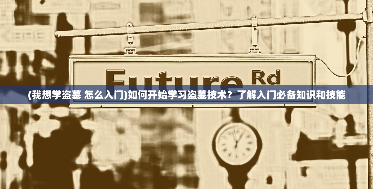 (我想学盗墓 怎么入门)如何开始学习盗墓技术？了解入门必备知识和技能