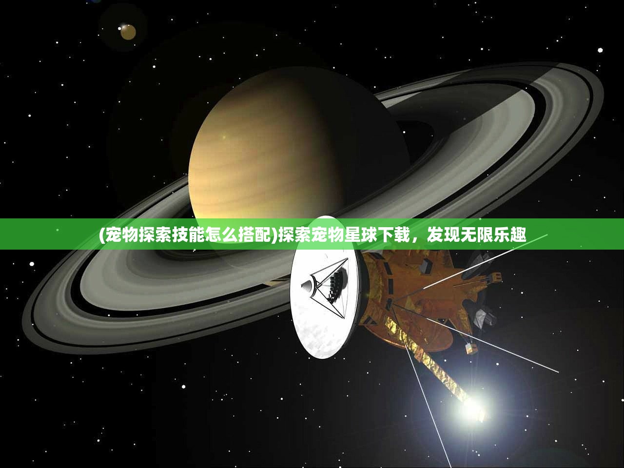 (宠物探索技能怎么搭配)探索宠物星球下载，发现无限乐趣