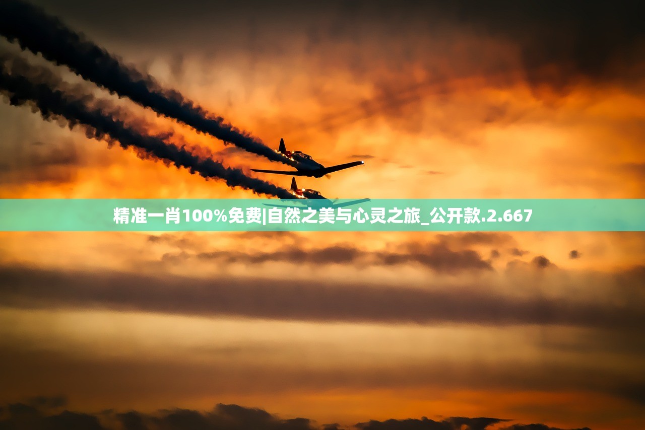 精准一肖100%免费|自然之美与心灵之旅_公开款.2.667