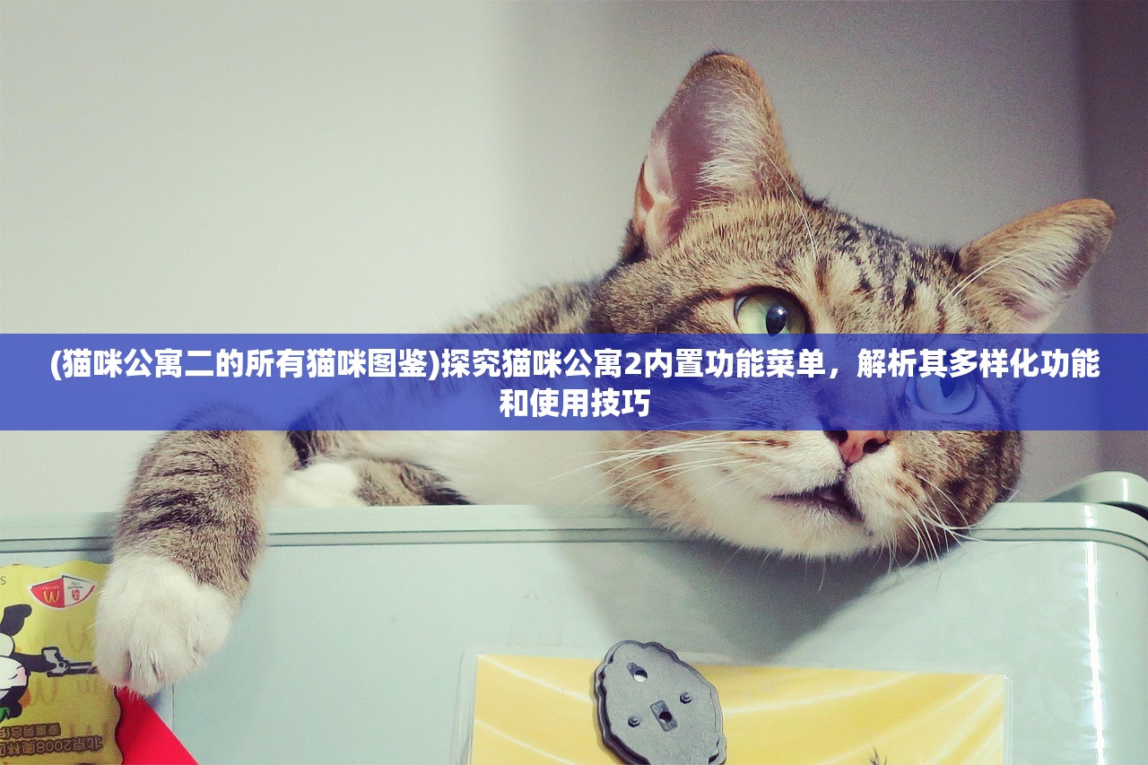 (猫咪公寓二的所有猫咪图鉴)探究猫咪公寓2内置功能菜单，解析其多样化功能和使用技巧