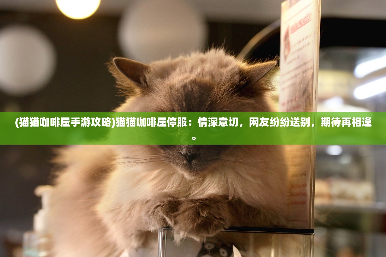 (猫猫咖啡屋手游攻略)猫猫咖啡屋停服：情深意切，网友纷纷送别，期待再相逢。